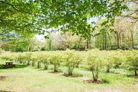 Cover for Farm & Garden