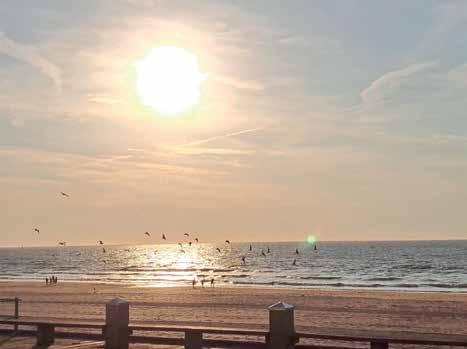 Cover for enviedebouger.com