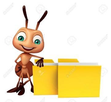 Cover for José Araújo Díaz