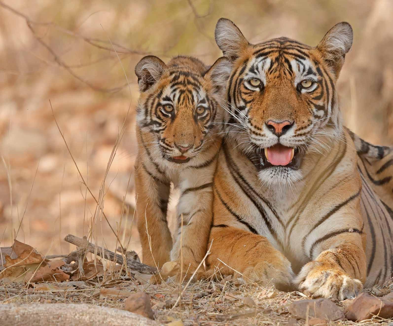 In 't kort - Issuu, image size:1594x1321