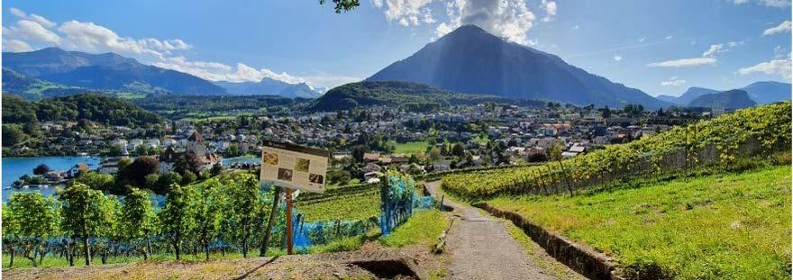 Cover for Spiezer Läset Sunntig