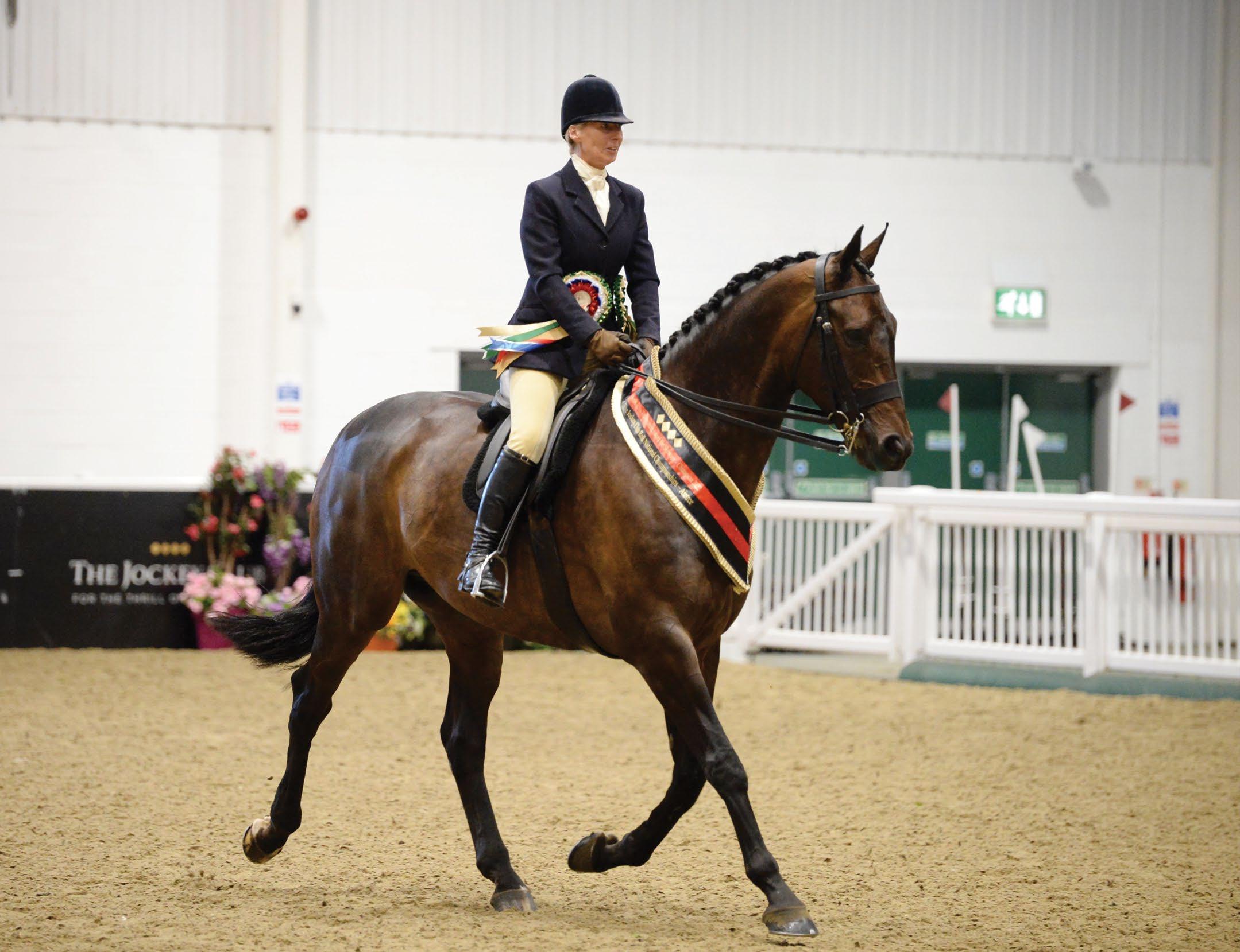 Showing Retraining of Racehorses national championships, NPS Area 4 and Edenbridge and Oxted
