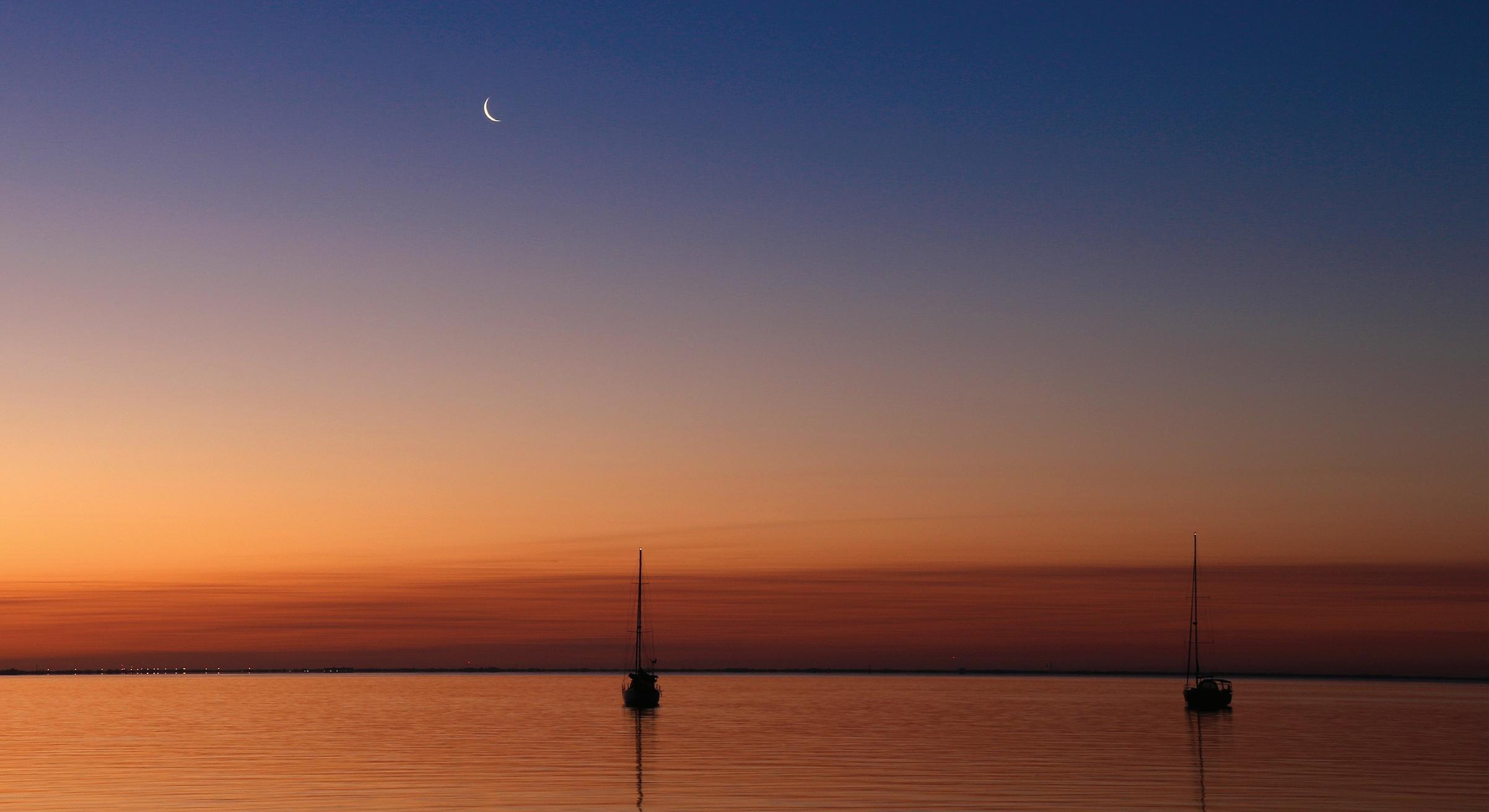 Cover for From the Bench