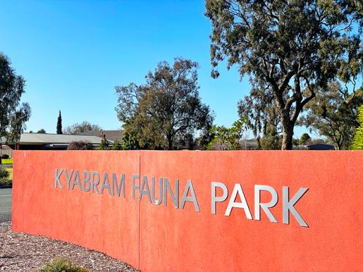 Cover for News at the zoos