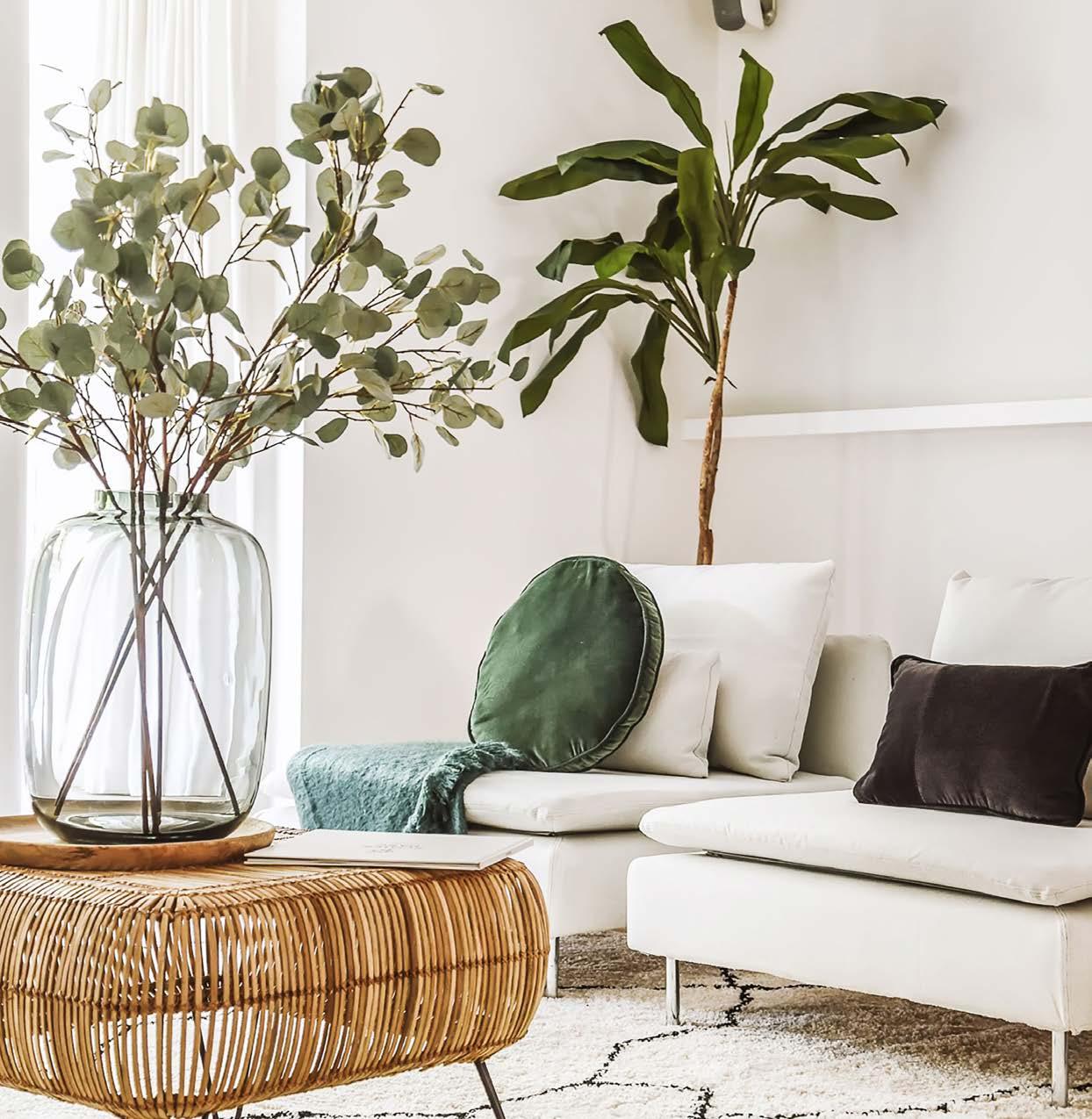 Hillgrove Avenue Magazine, Volume 2, Issue 1 by hillgroveavenuemagazine