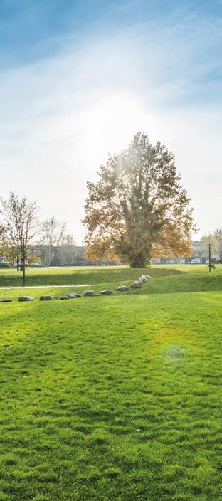 Groen wonen – met zicht op park en plein