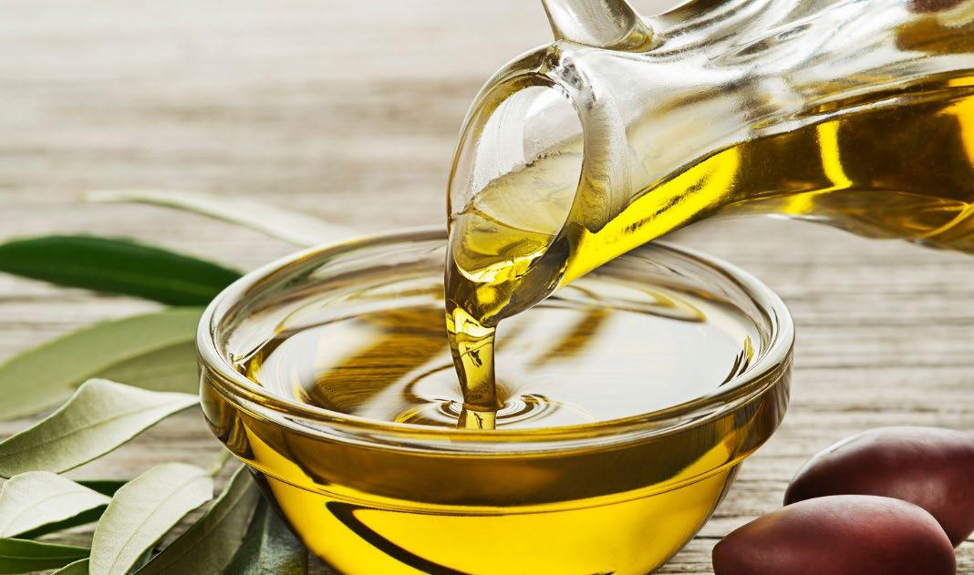 Cover for Chocolate makers turn to specialty fats and oil for sustainable production