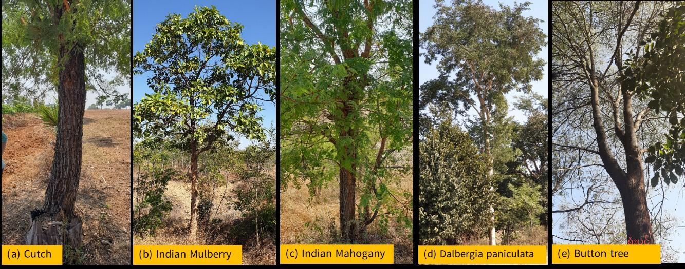 Cover for 11. Further reading