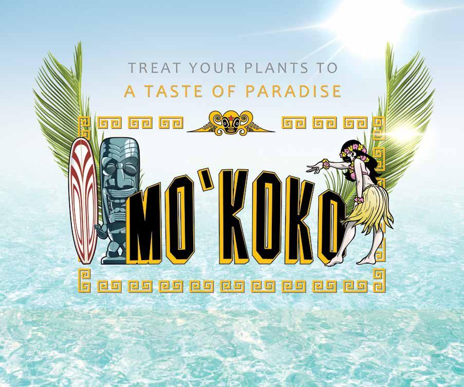 MO’KOKO FERTILIZERS AND SUBSTRATE Issuu