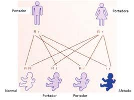 Cover for Dafne Dain Gandelman Horovitz