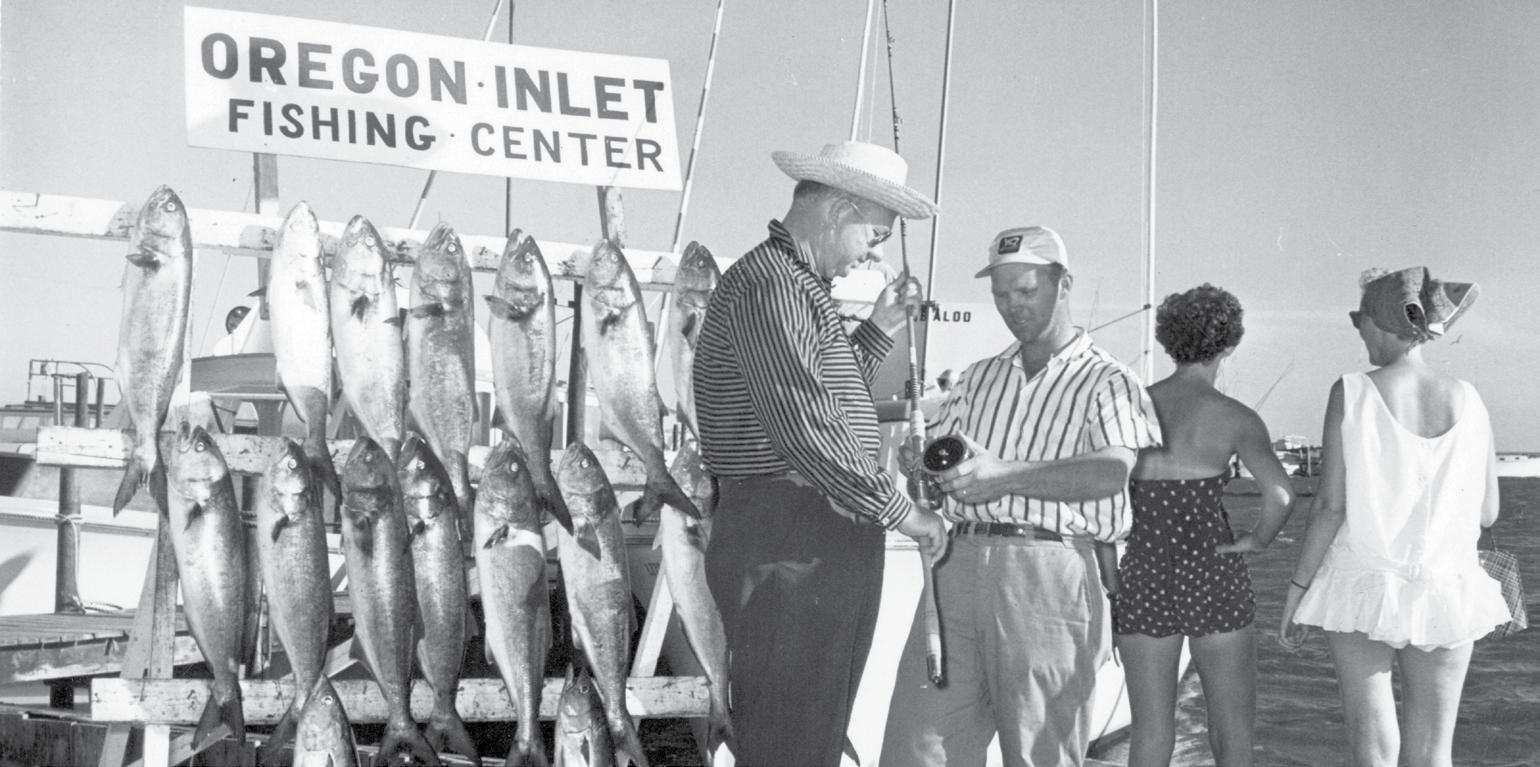 Cover for FIVE FACTS