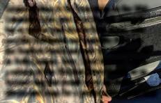 Cover for MORE THAN JUST A CHINOOK SHOW