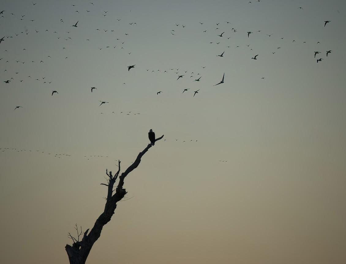 Cover for Contributors' Bios