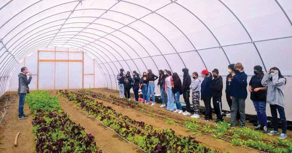 Image of Woman watering plants in a garden mize greenhouse & garden supply