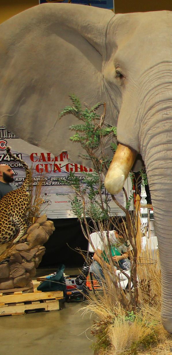 2023 BART HALL SHOWS BROCHURE by Issuu