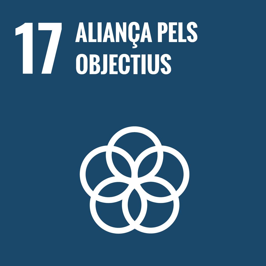 Maillot australie foot