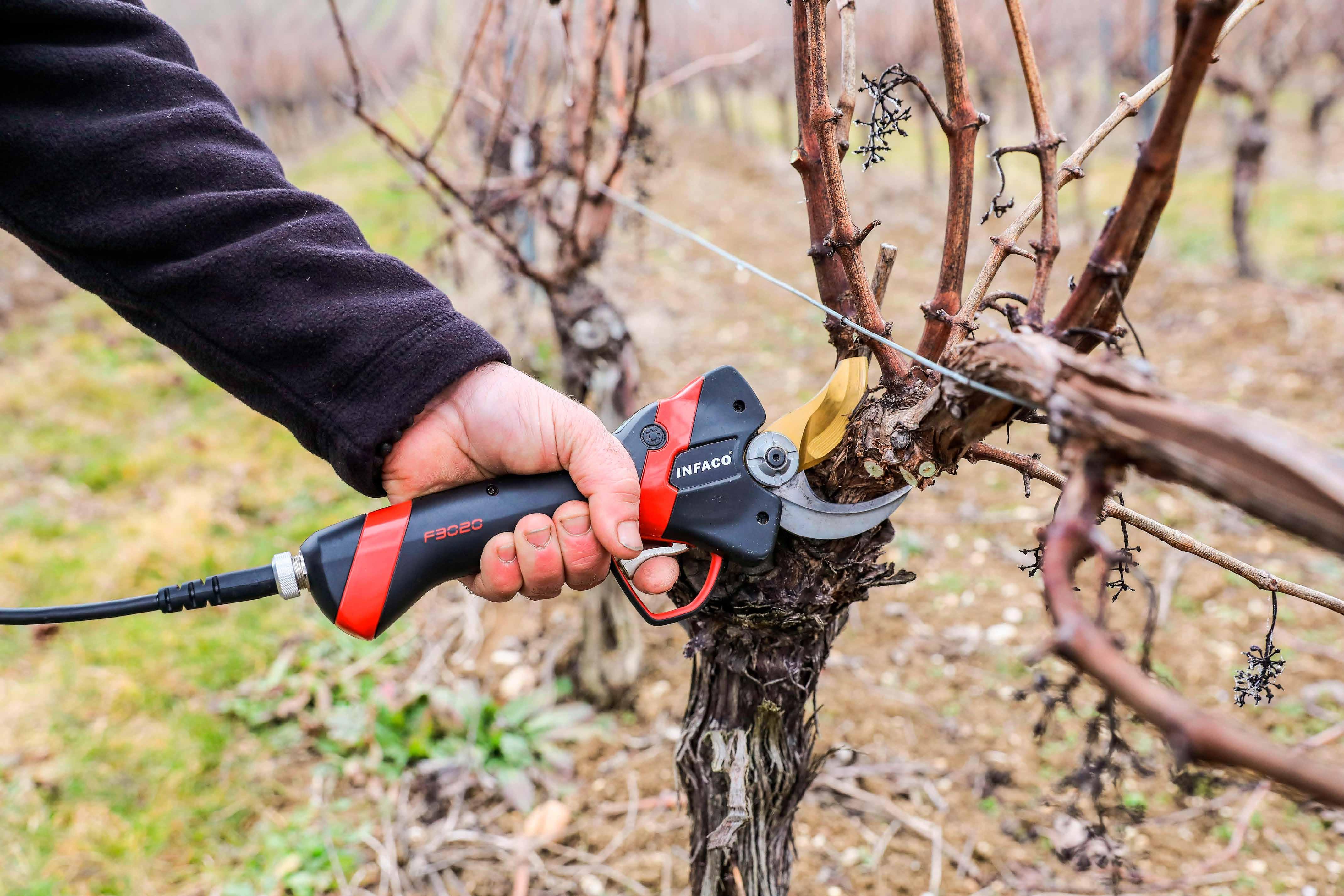 Spennapolli Elettrico Portatile - Per Pollo, Anatra, Tacchino - Foto 6
