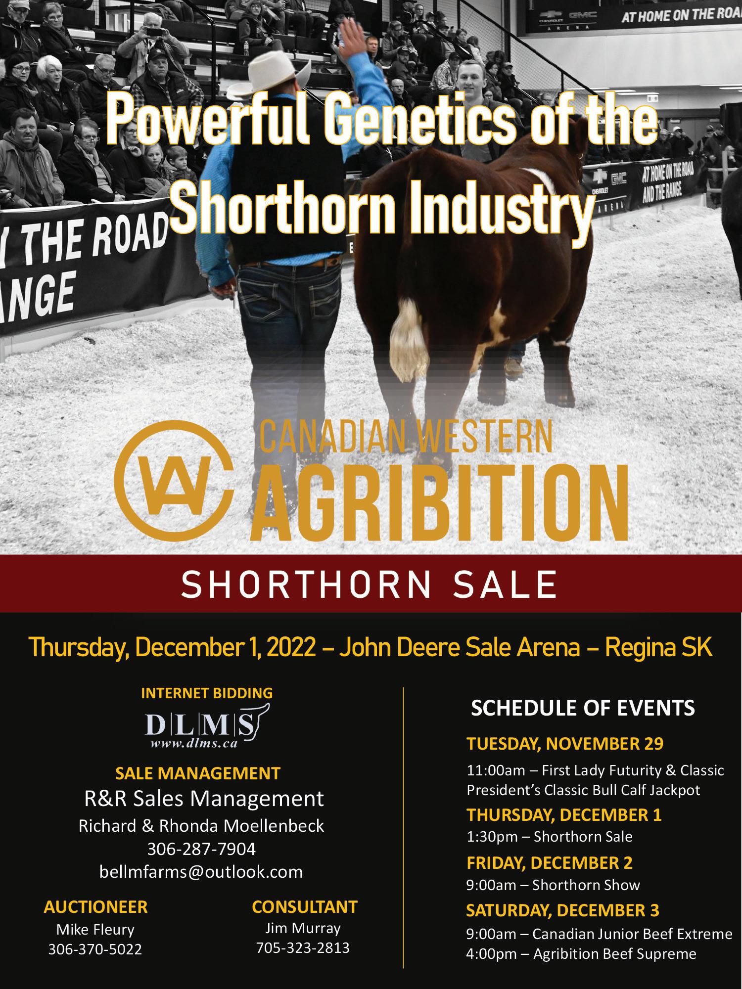 The Canadian Shorthorn Report Fall 2022 by Belinda Wagner Issuu