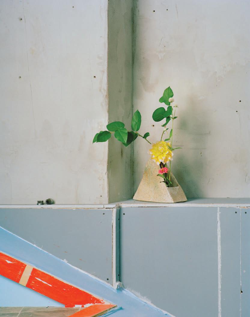 Cover for BUSH Gallery