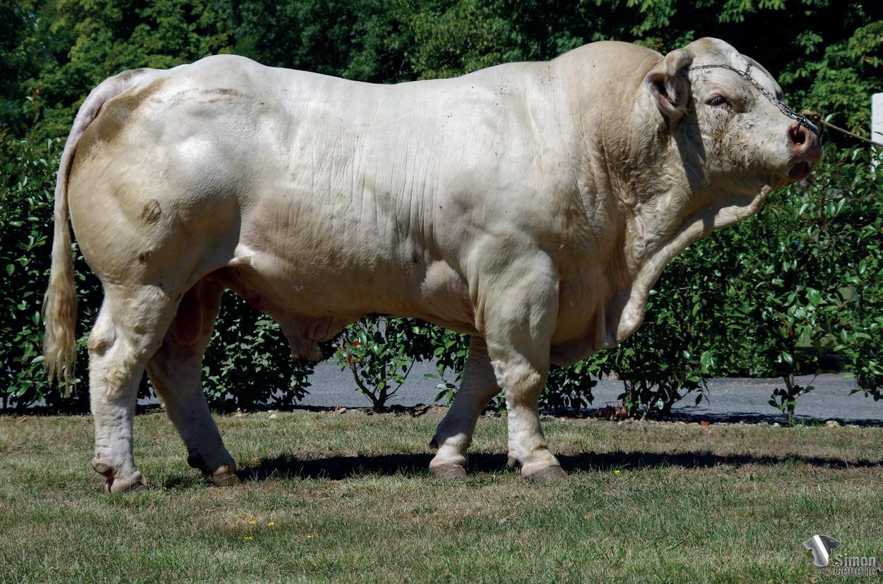 K CATALOGUE by elfyn Jones Issuu