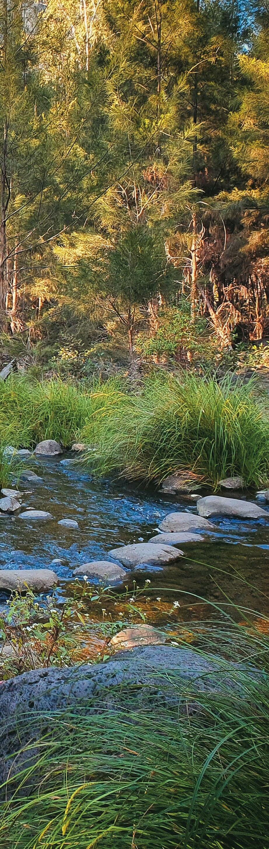 visit central queensland