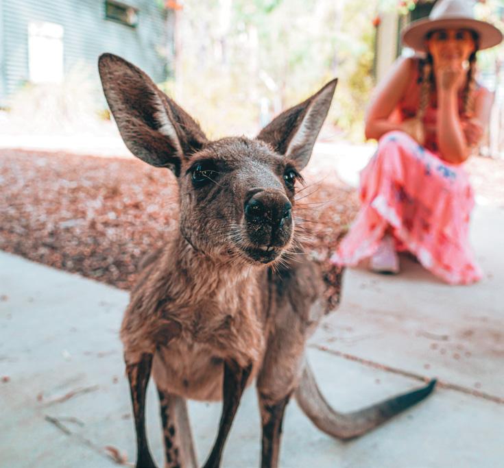 visit central queensland