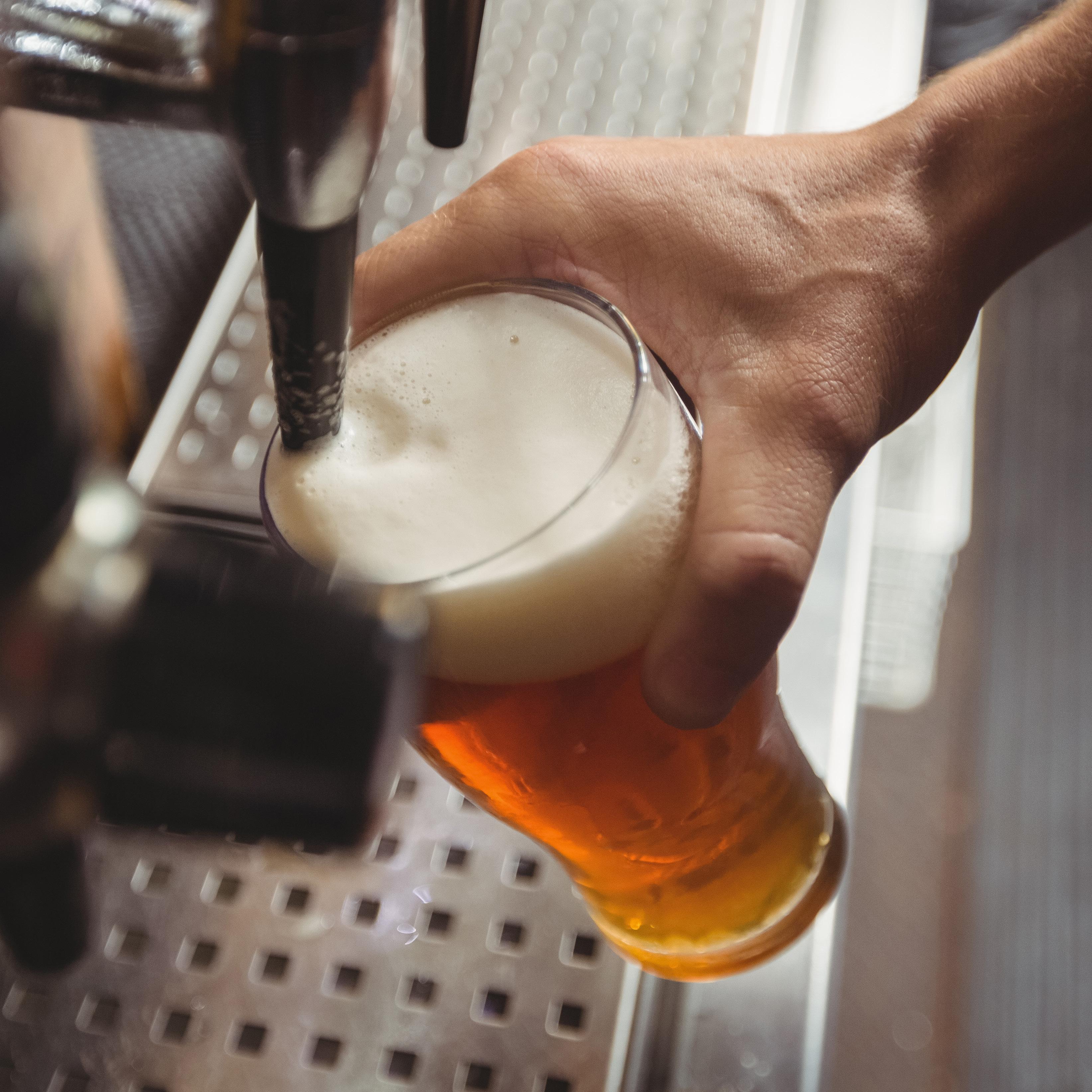 Fanatic Brewing Co. Brand Refresh Style Guide by emmarainedesigns Issuu