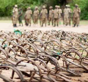 Cover for Into the Wild