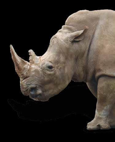 Cover for Keeper Corner