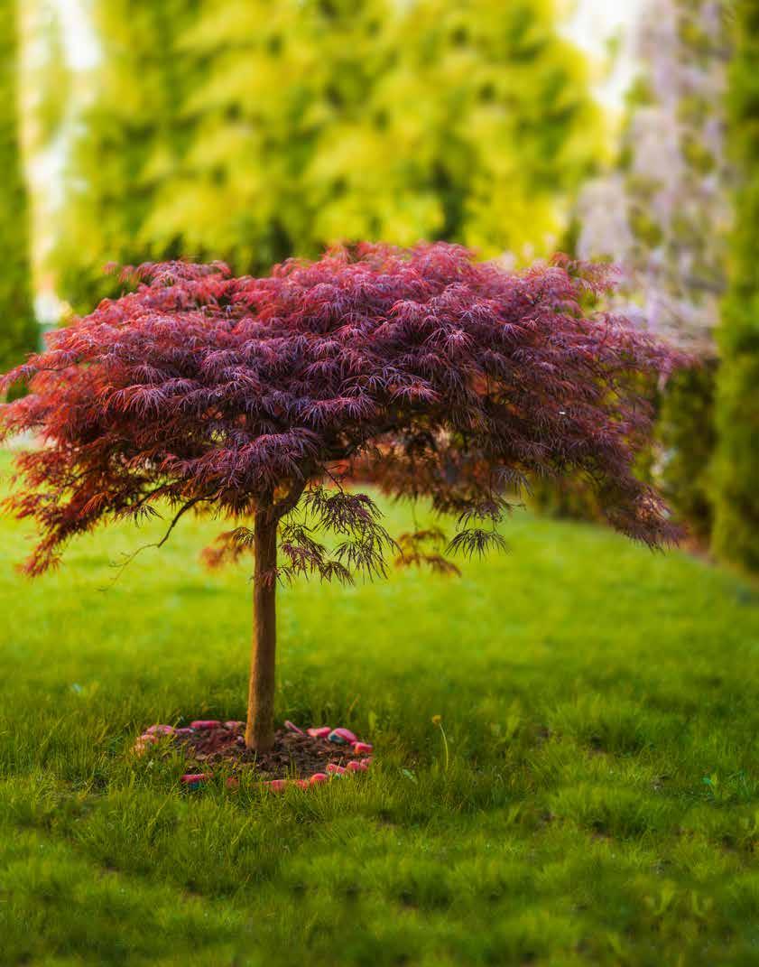 Cover for Digging Deeper