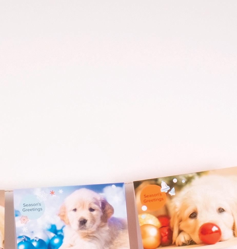 Dogalogue 202223 by guidedogssant Issuu