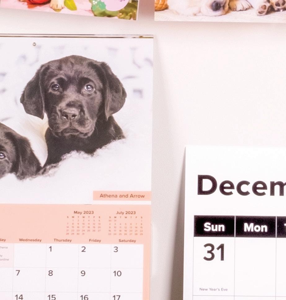 Dogalogue 202223 by guidedogssant Issuu