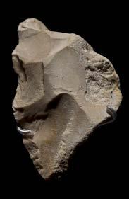 Educational Miniguides - Museum of Human Evolution (Burgos, Spain ...