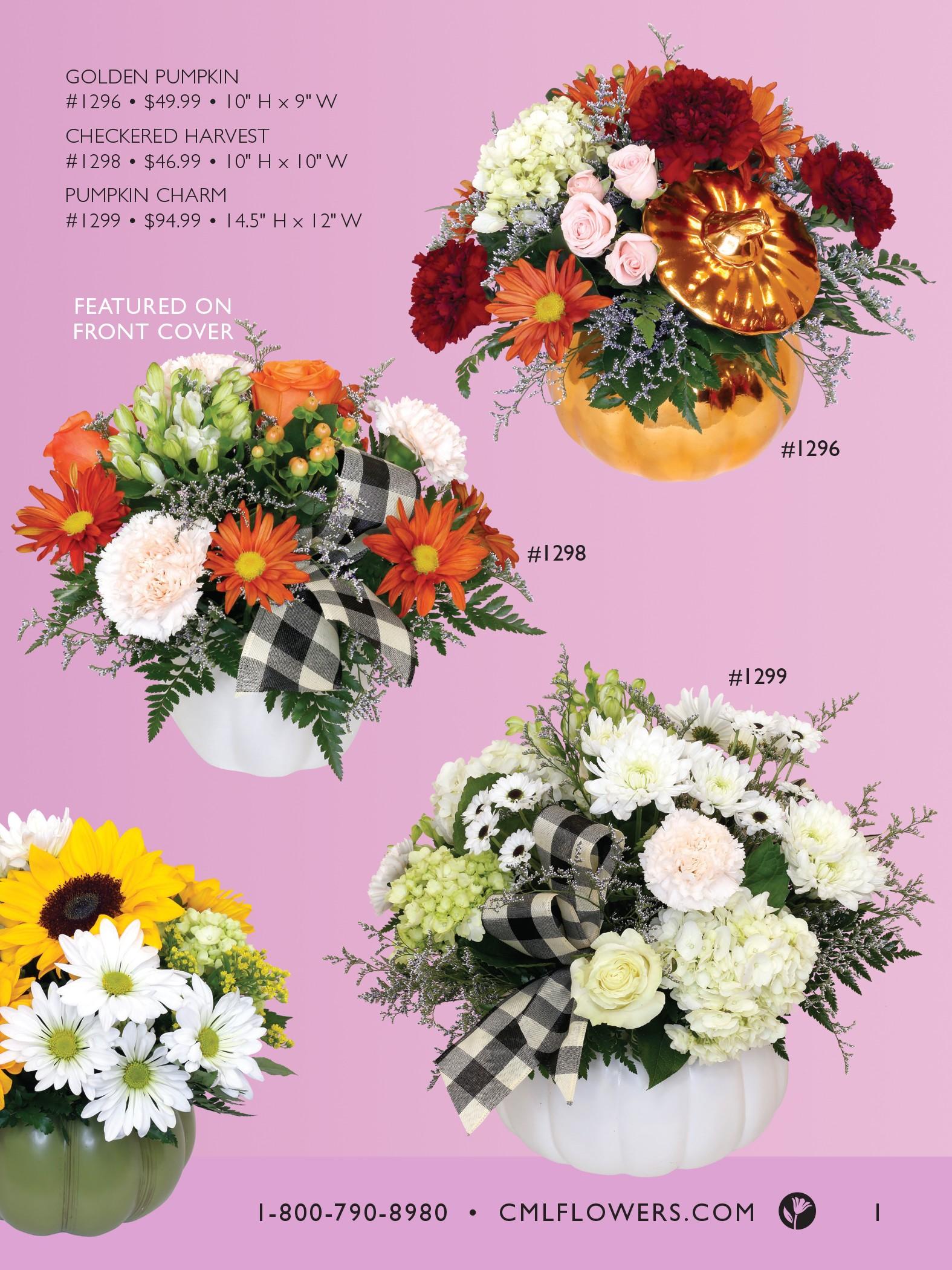 Connells Maple Lee Fall 2022 Brochure by US Retail Flowers Inc. Issuu