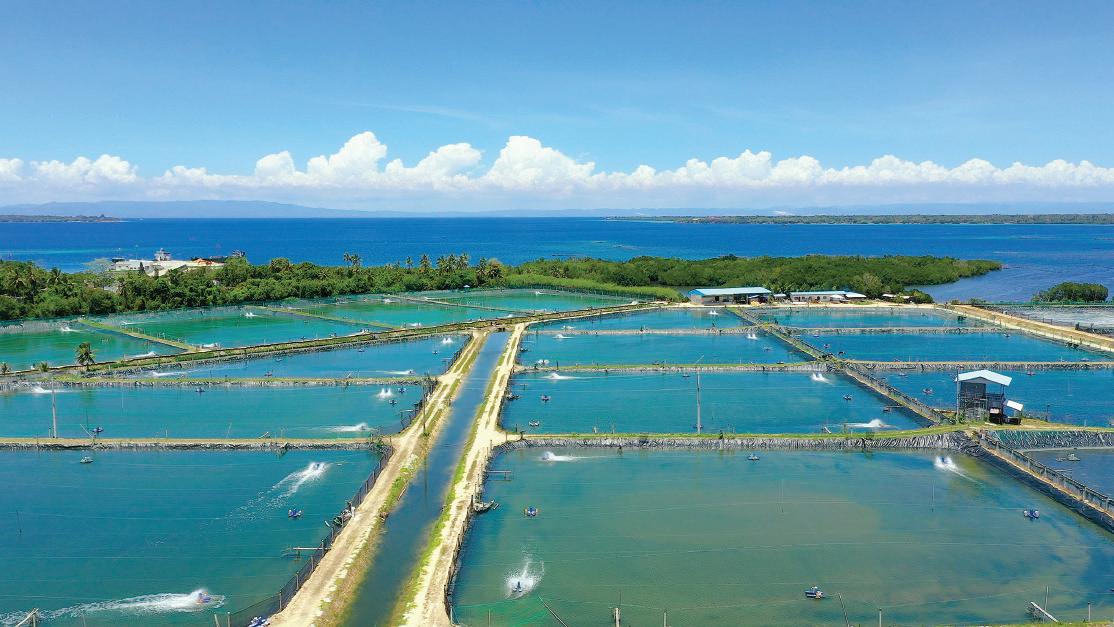Maxmar Farm Aquafeed Vol 14 Issue 4 2022 by Aquafeed Media, S.L.U. - Issuu
