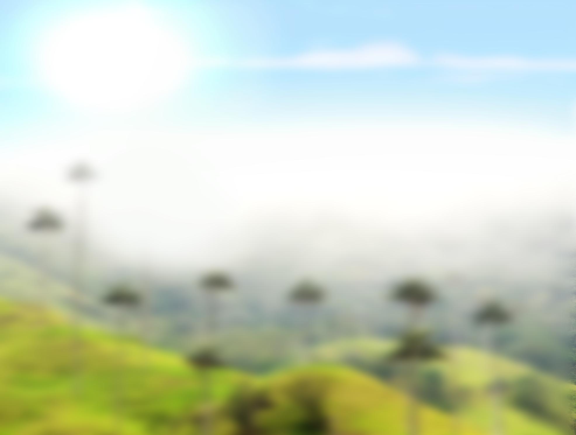 EL DORADO CATALOG v2.0 by alimentos el dorado sas Issuu