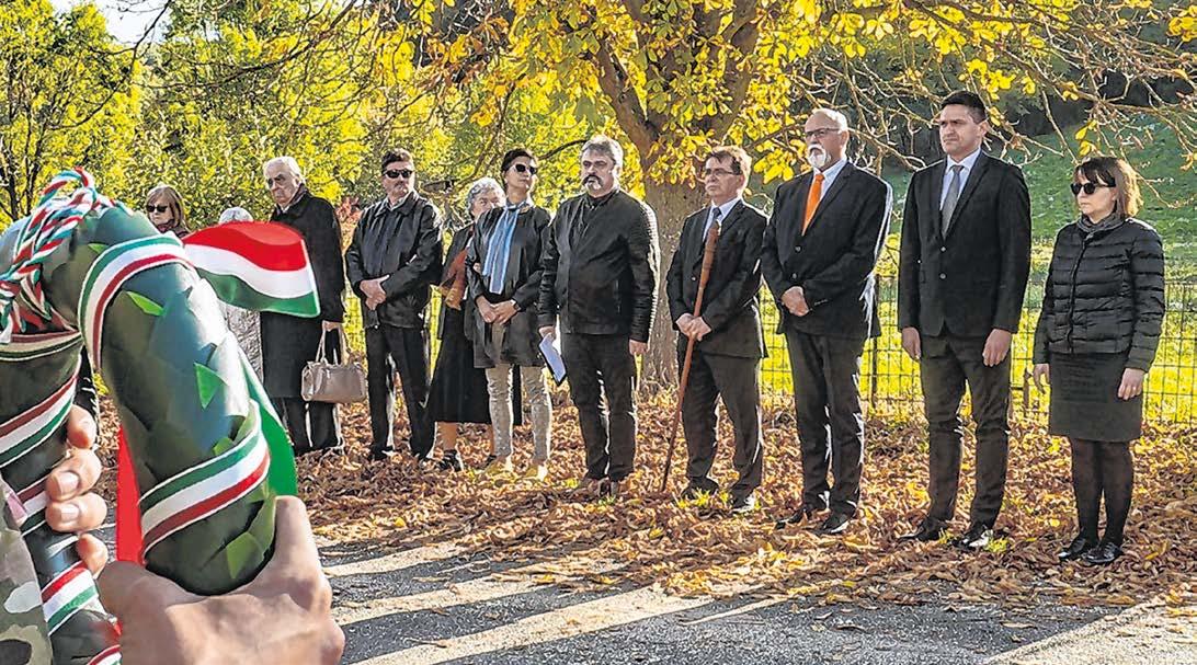Elvitték a derelyét