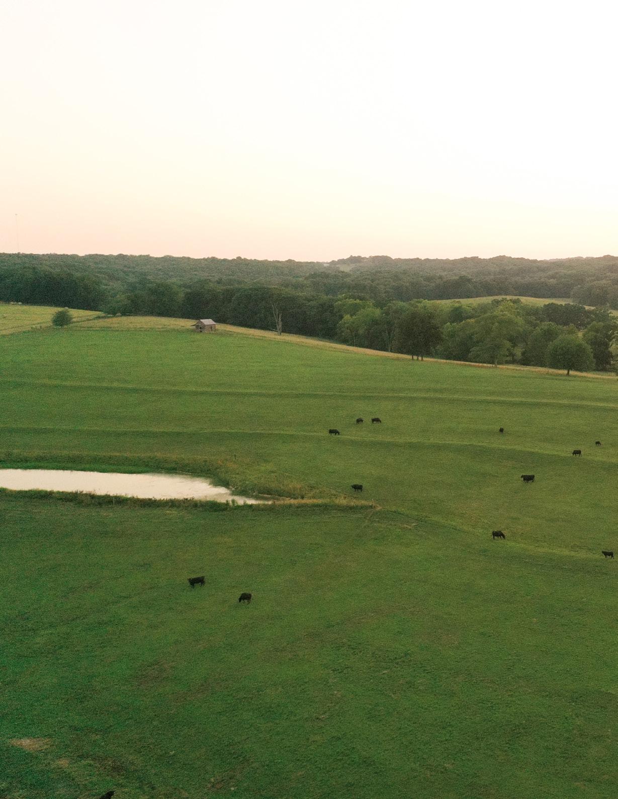 Meyer Cattle 2022 Performance in the Pasture Sale by Ranch House