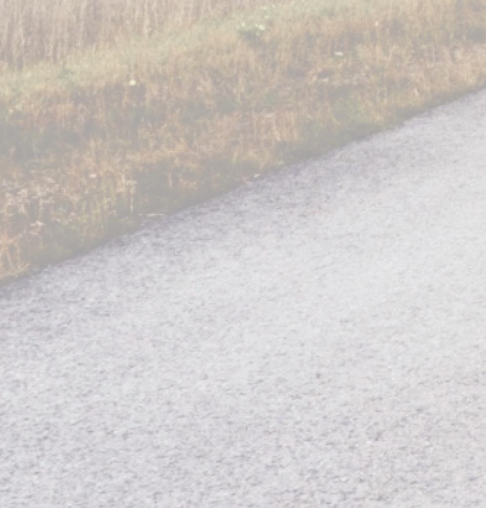 University Diversity Report 20212022 by University