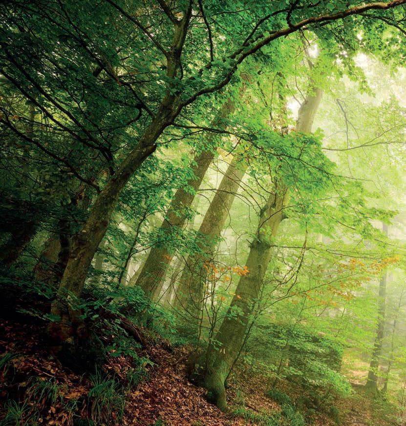 Article from: KAESER Report: Estaciones de aire comprimido KAESER