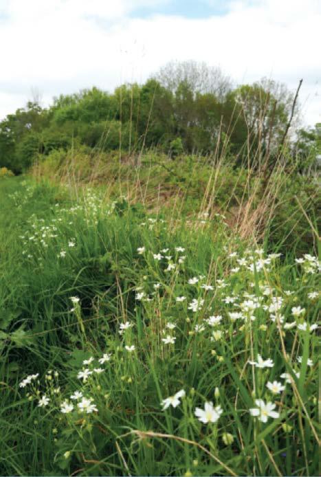 New Professional Register for Advisors