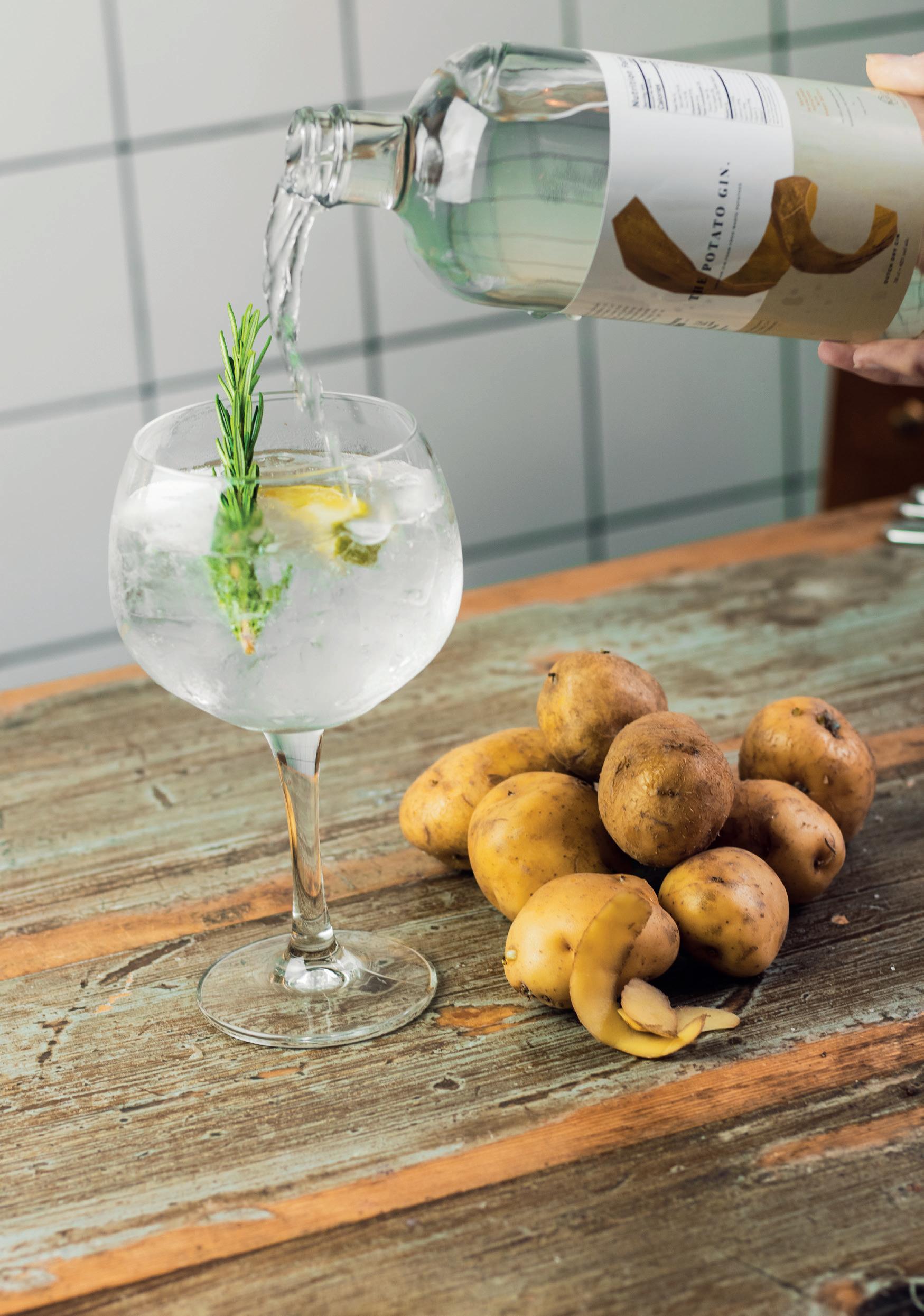 Prototype Lookbook The Potato Gin. by faithbbailey Issuu