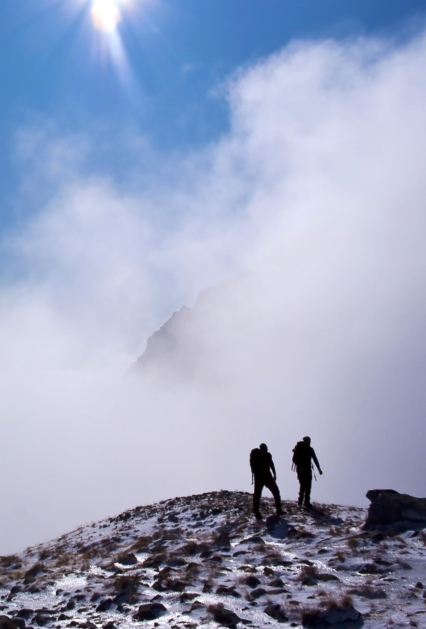 A new communication strategy 13 Virtual 401(k) Audits