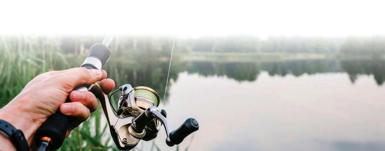 Fishing line killed this robin at Monee Reservoir; it shouldn't have