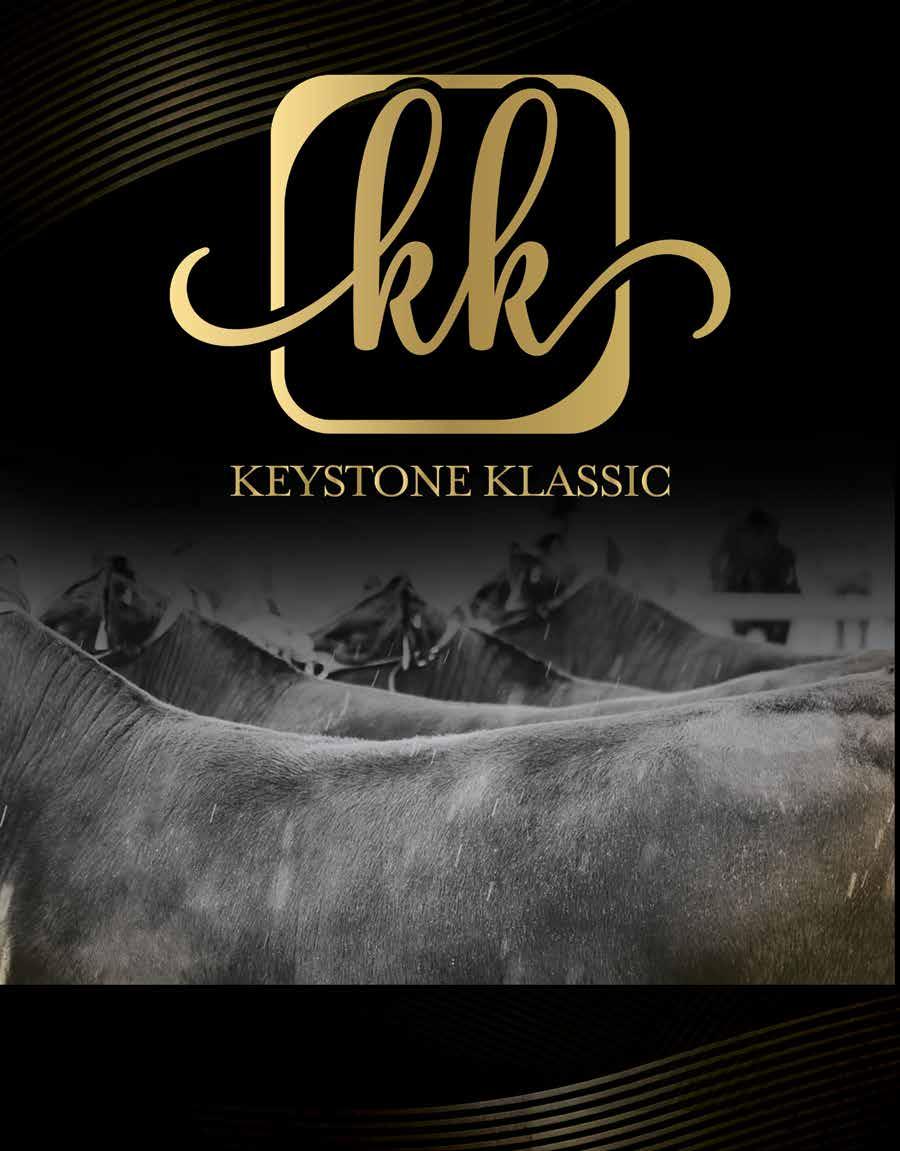 Manitoba Angus Outlook Fall Issue 2022 by mandi.mbangus Issuu