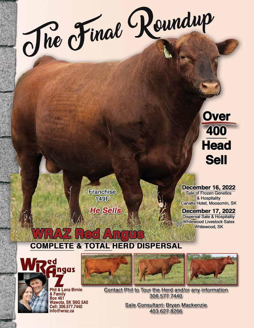 Manitoba Angus Outlook Fall Issue 2022 by mandi.mbangus Issuu