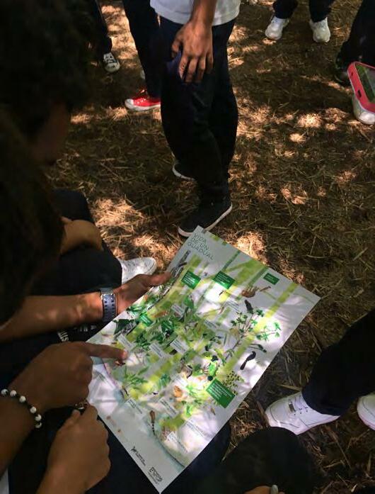 Portafolio Laura Ceballos Castilla 2022 by Laura Ceballos Castilla - Issuu