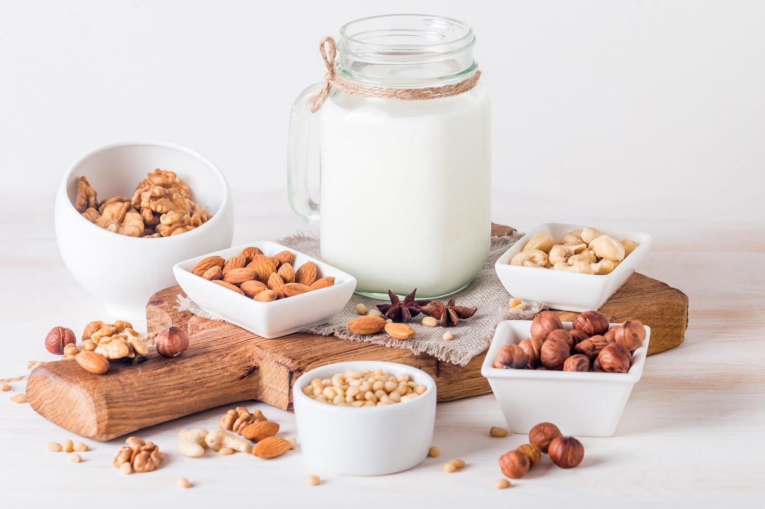 Global Dairy Alternatives Market Size, Share, and COVID19 Impact Analysis, By Source (Soy