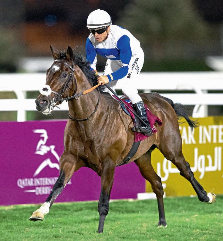 Qatar International Derby by Weatherbys - Issuu