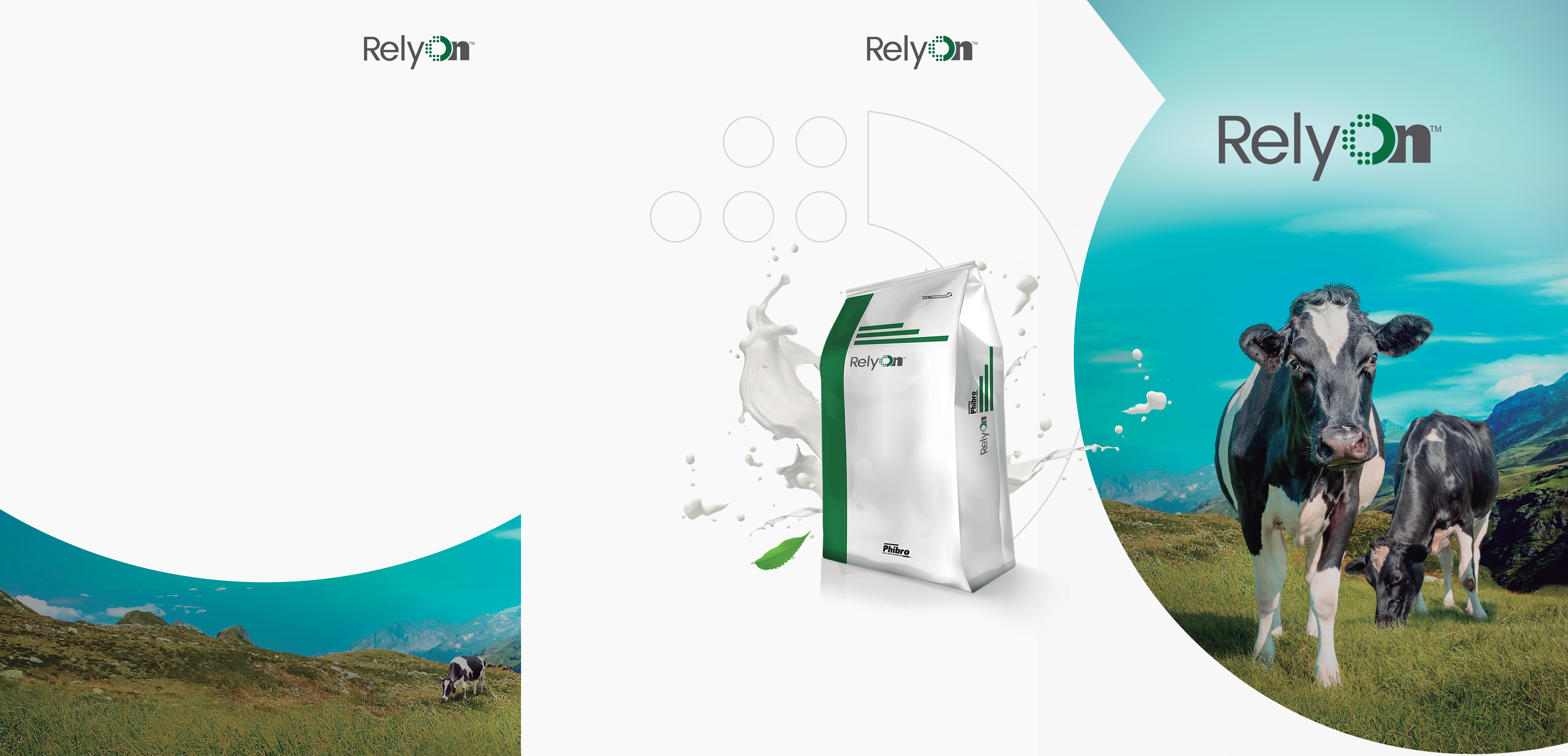 RelyOn Brochure Dairy by Phibro Issuu